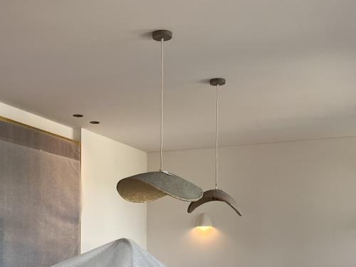 2x hanglampen Light & Living