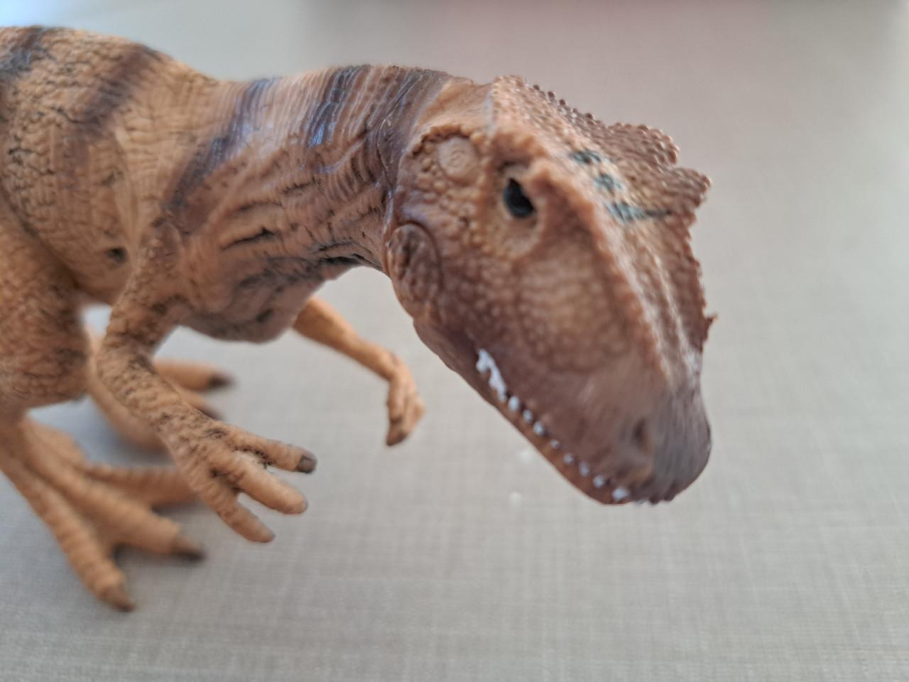Dinosaurus Allosaurus stenen figuur