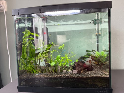 Aquarium