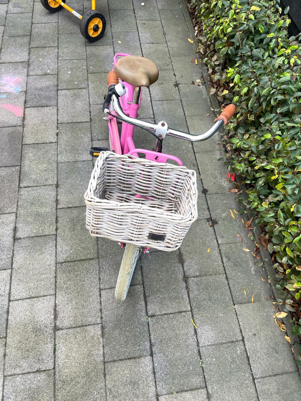 Meisjes fiets Alpina 18 inch