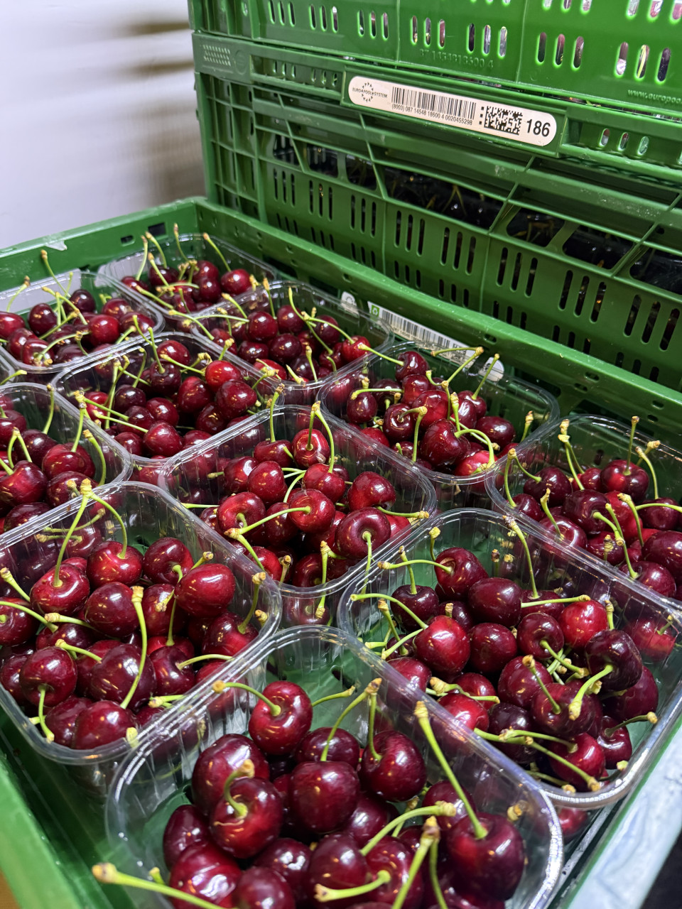B keuze kersen €4 per kilo