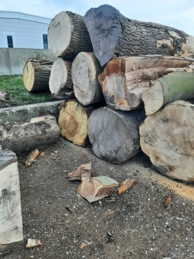Haardhout