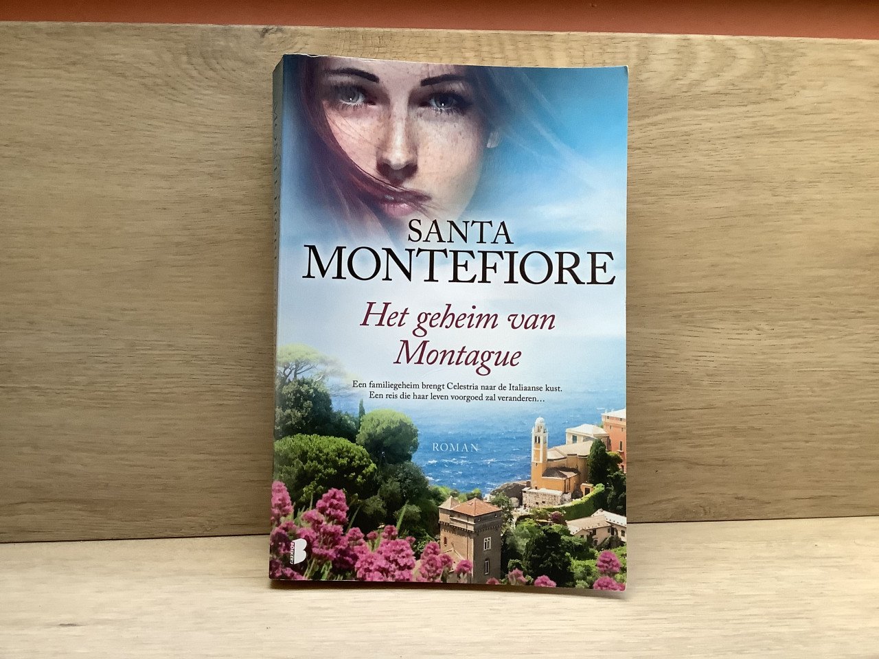 Verschillende boeken aangeboden.