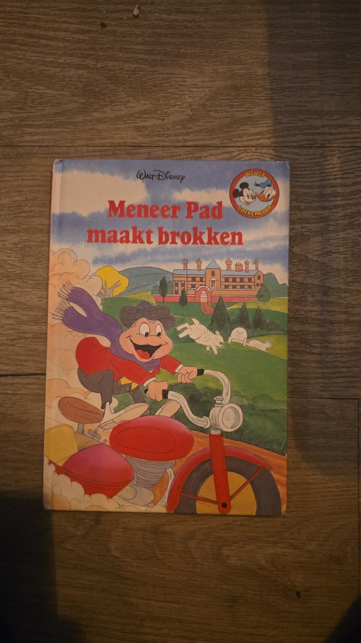 Meneer pad maakt brokken
