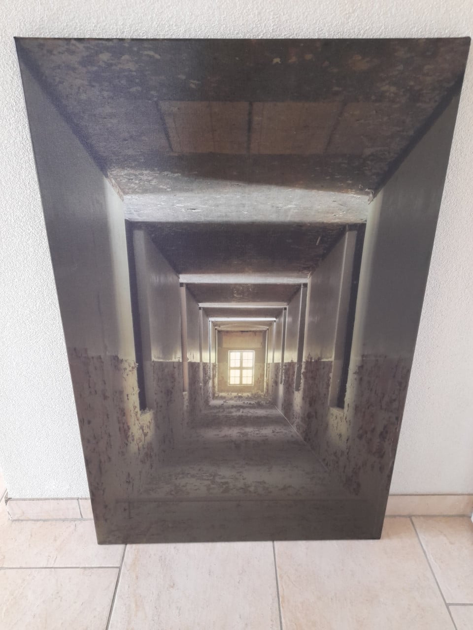 2 Canvas schilderijen  65 x 100 (in goede nette staat)