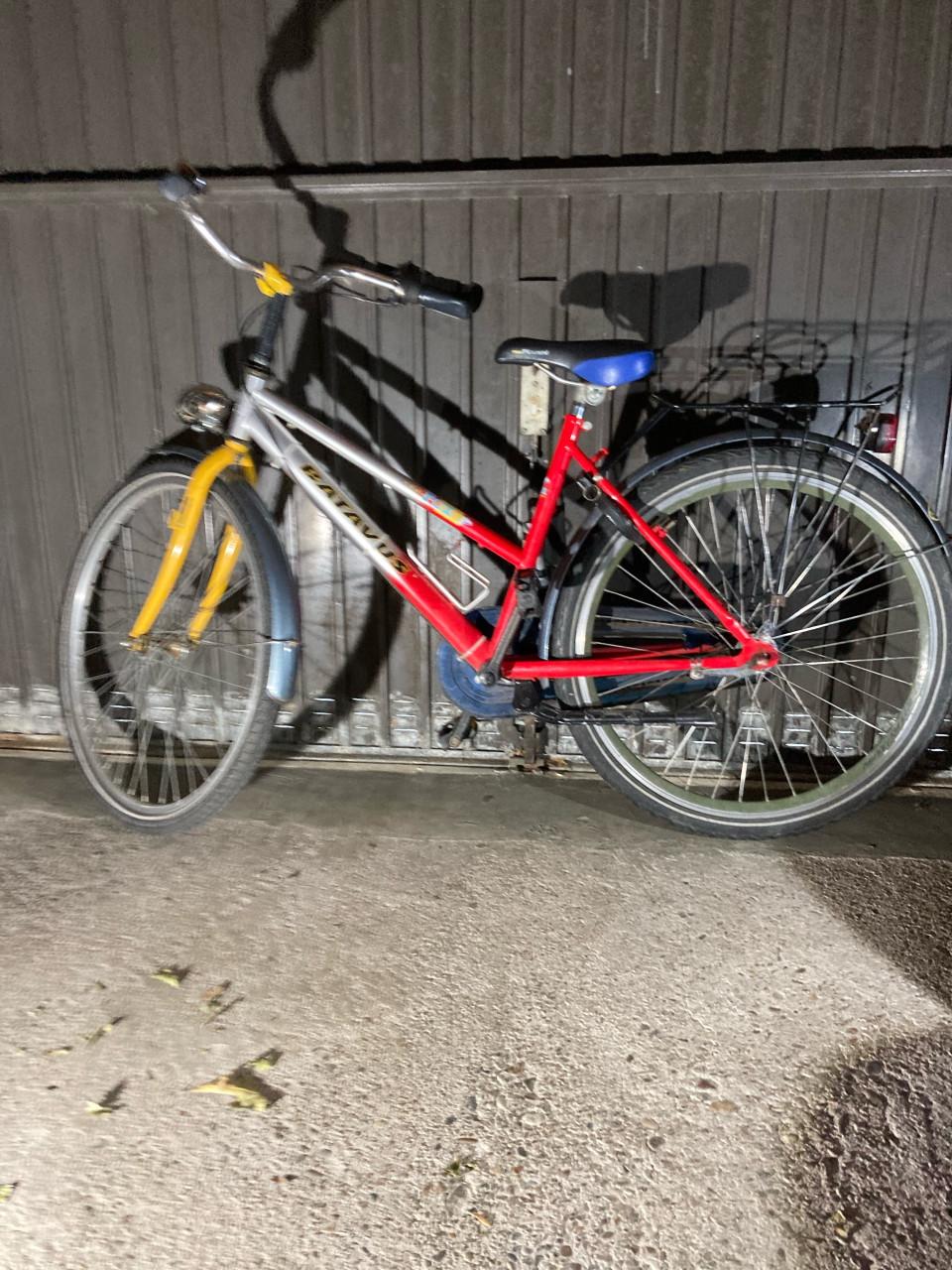 Meisjesfiets Batavus fox 24 inch 3 v.