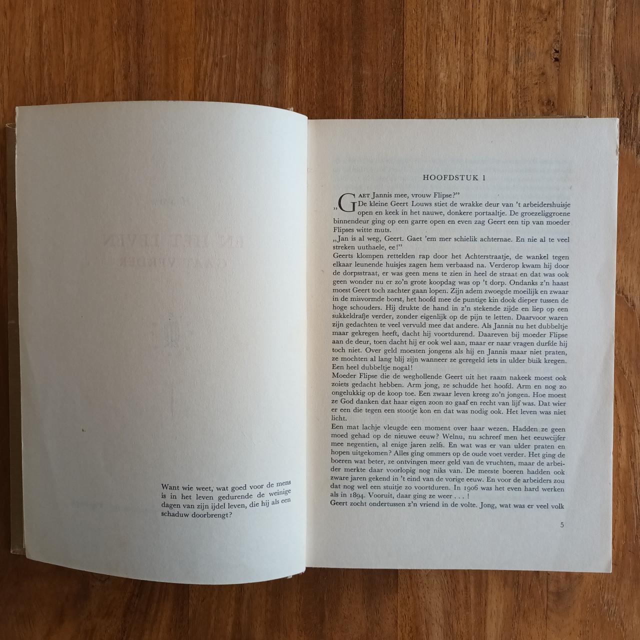 En het leven gaat verder van Hendrik Sturm