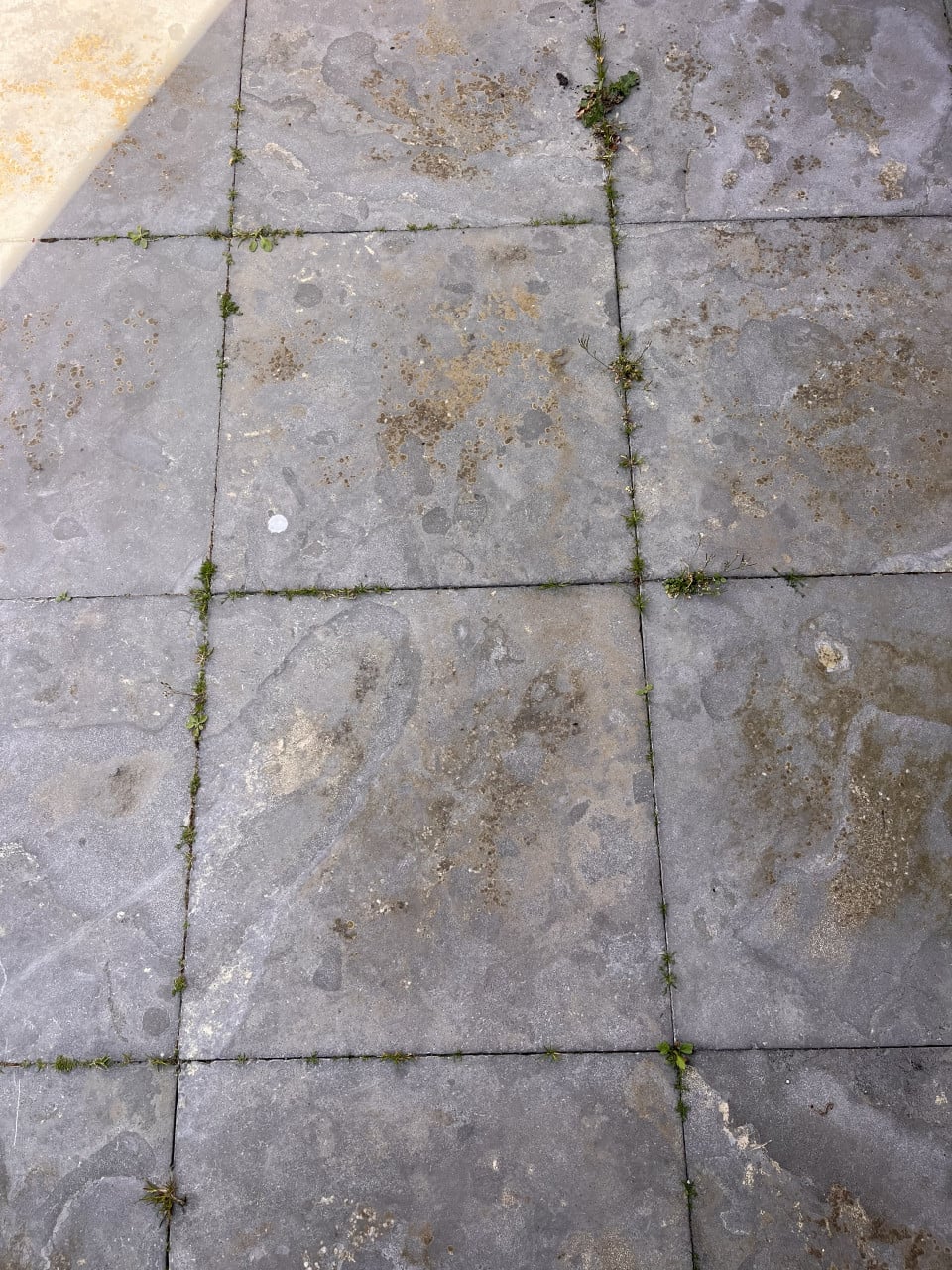 Terras tegels gratis afhalen