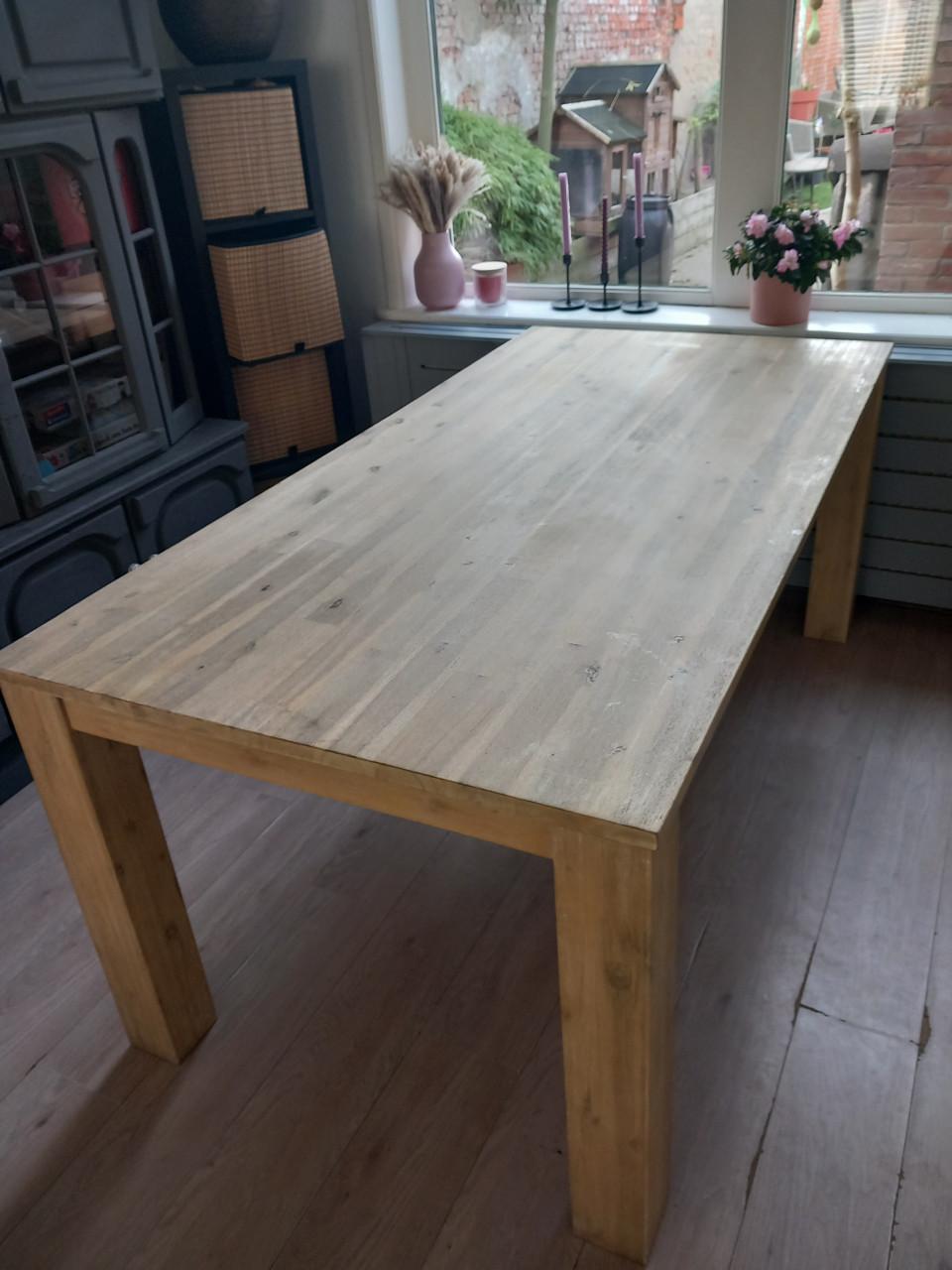 Leuke eettafel / knutseltafel