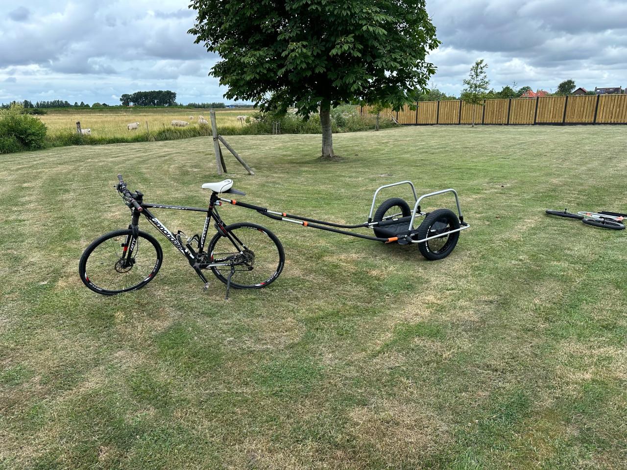 Thule Reacha Sport Beach Fietskar