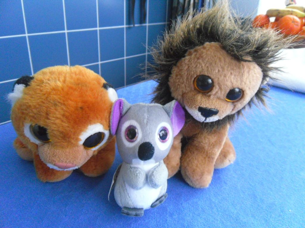 KNUFFELS
