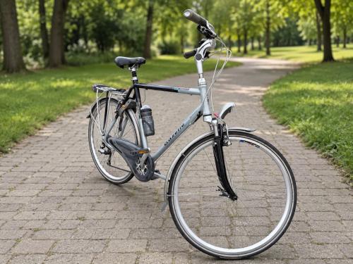 Herenfiets