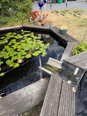 Velda Pont Protector bescherming tegen reigers en katten