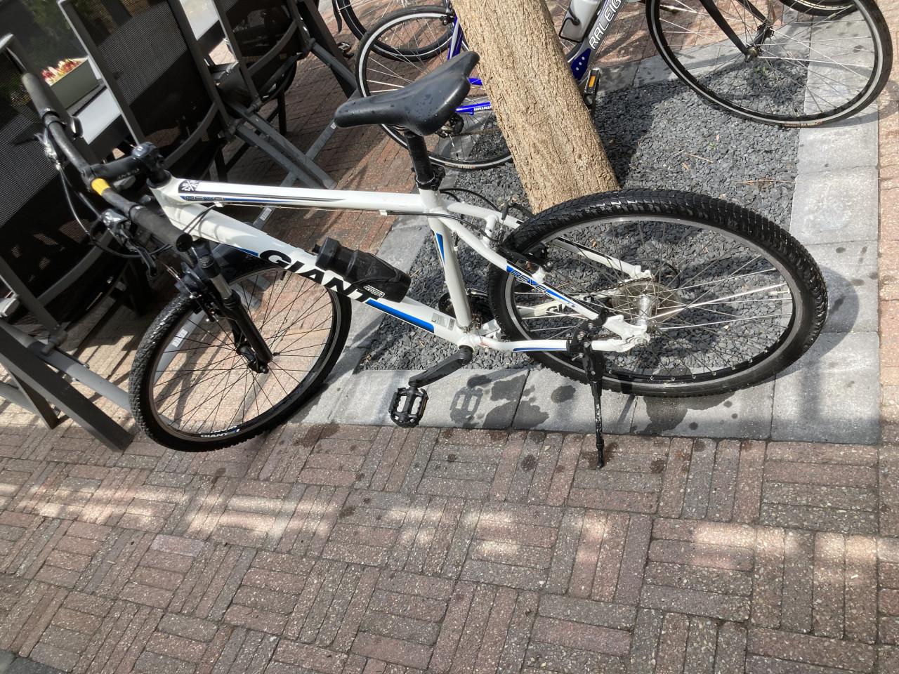 Fietsen te koop