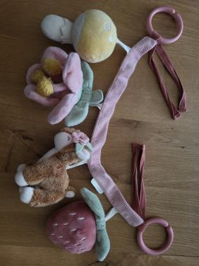 Wagenspanner