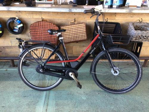 Gazelle CityGo