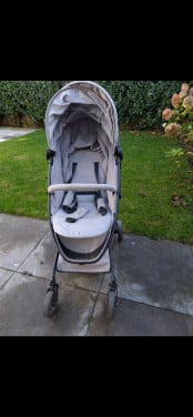 Buggy