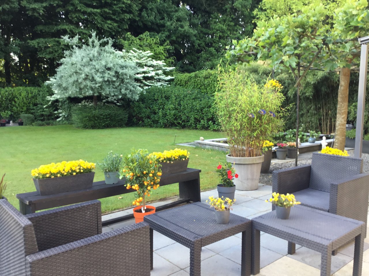 Droomhuis op toplocatie