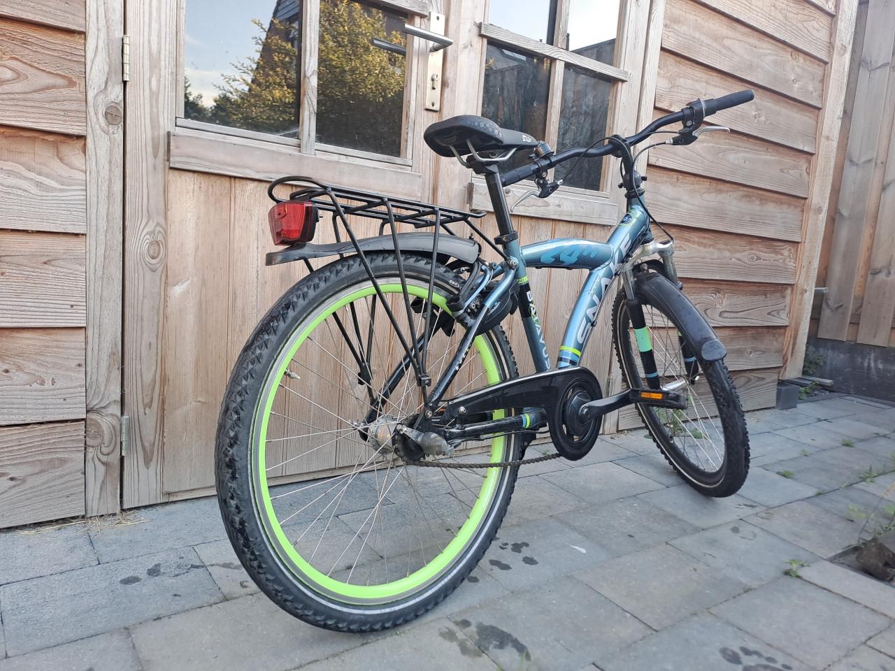 Batavus snake 24"