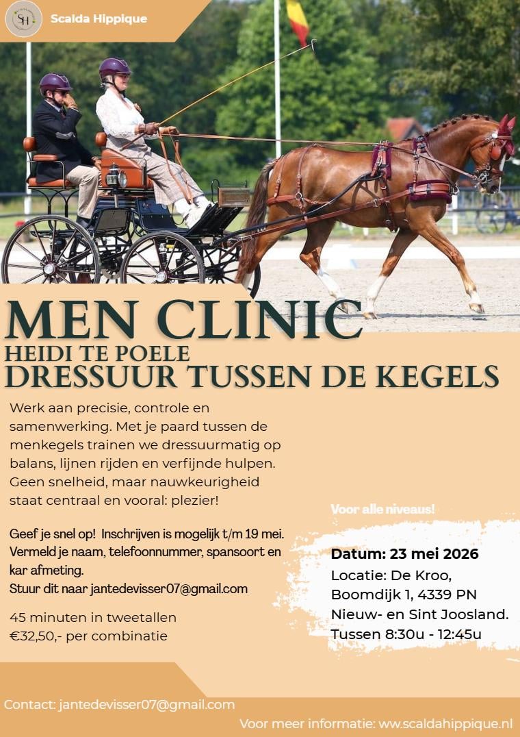 Kom ook naar dit leuke paarden evenement "Scalda Hippique"