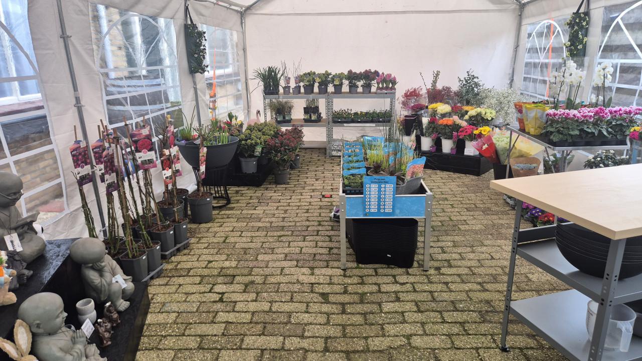 Diverse vijverspullen