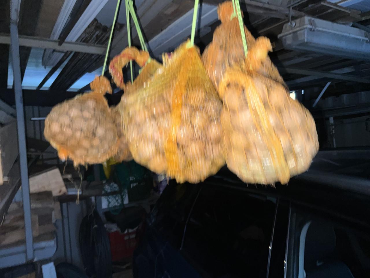 Te koop walnoten