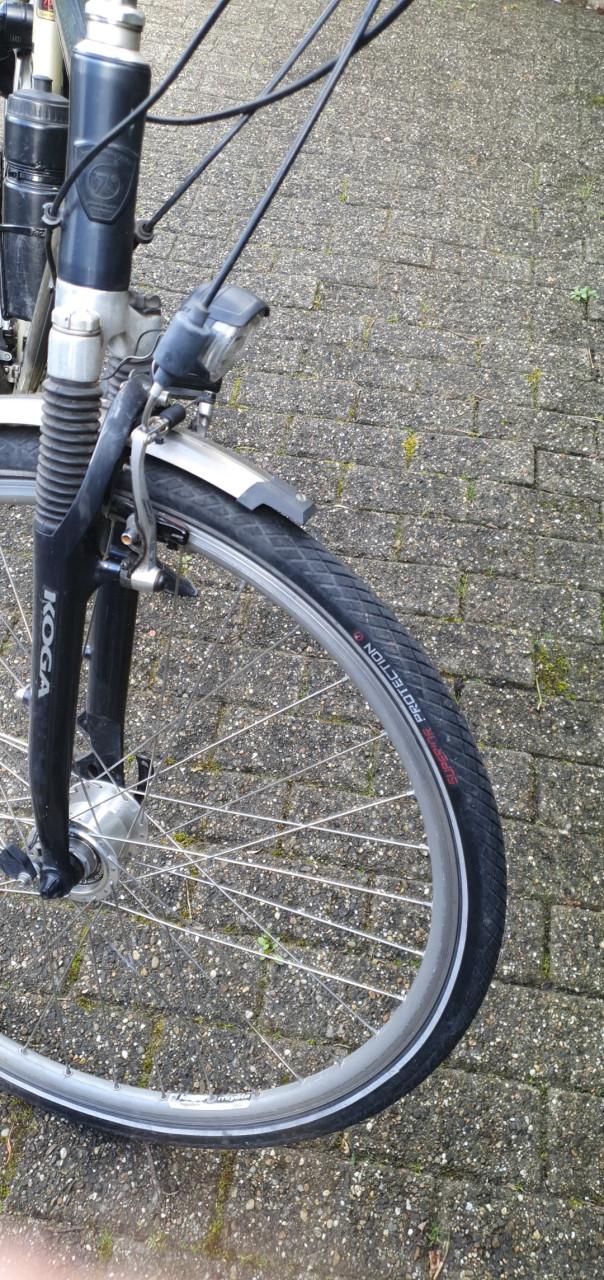 Koga Miyata Prominence