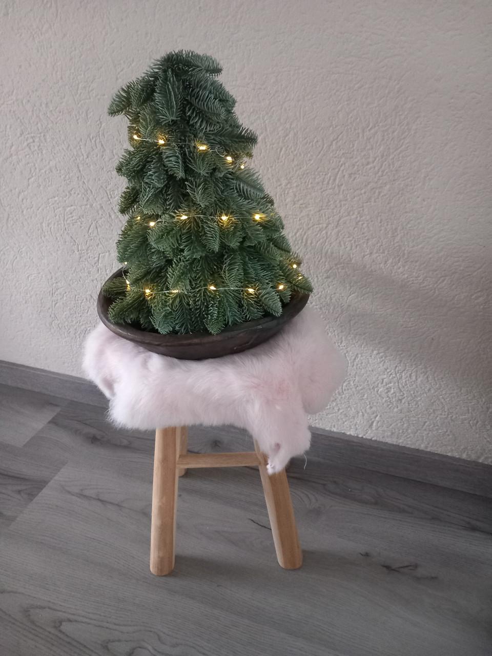 Kunst nobelis boompje