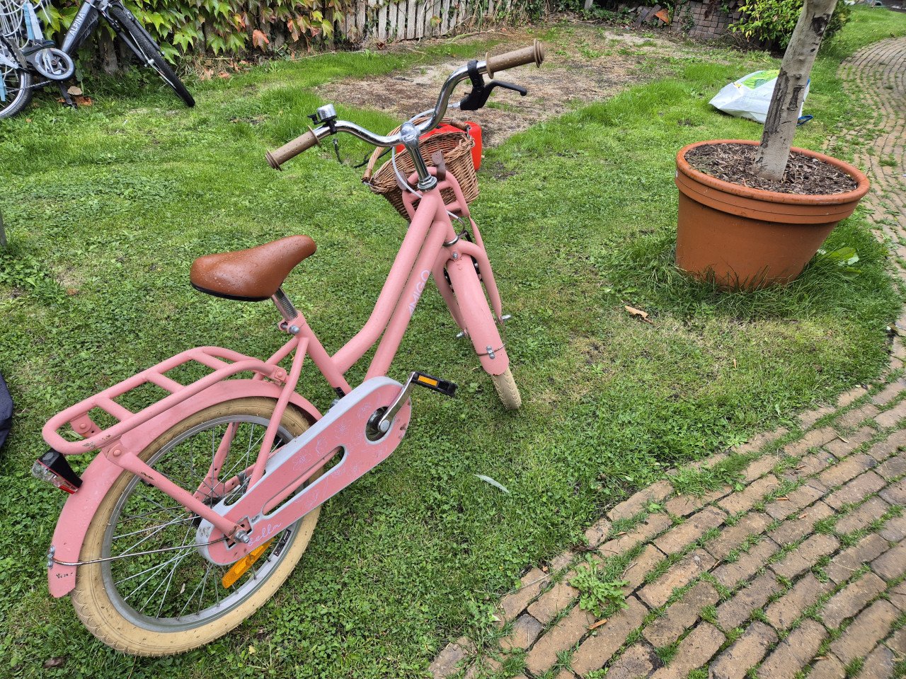 Kinderfiets meisje 5 jaar