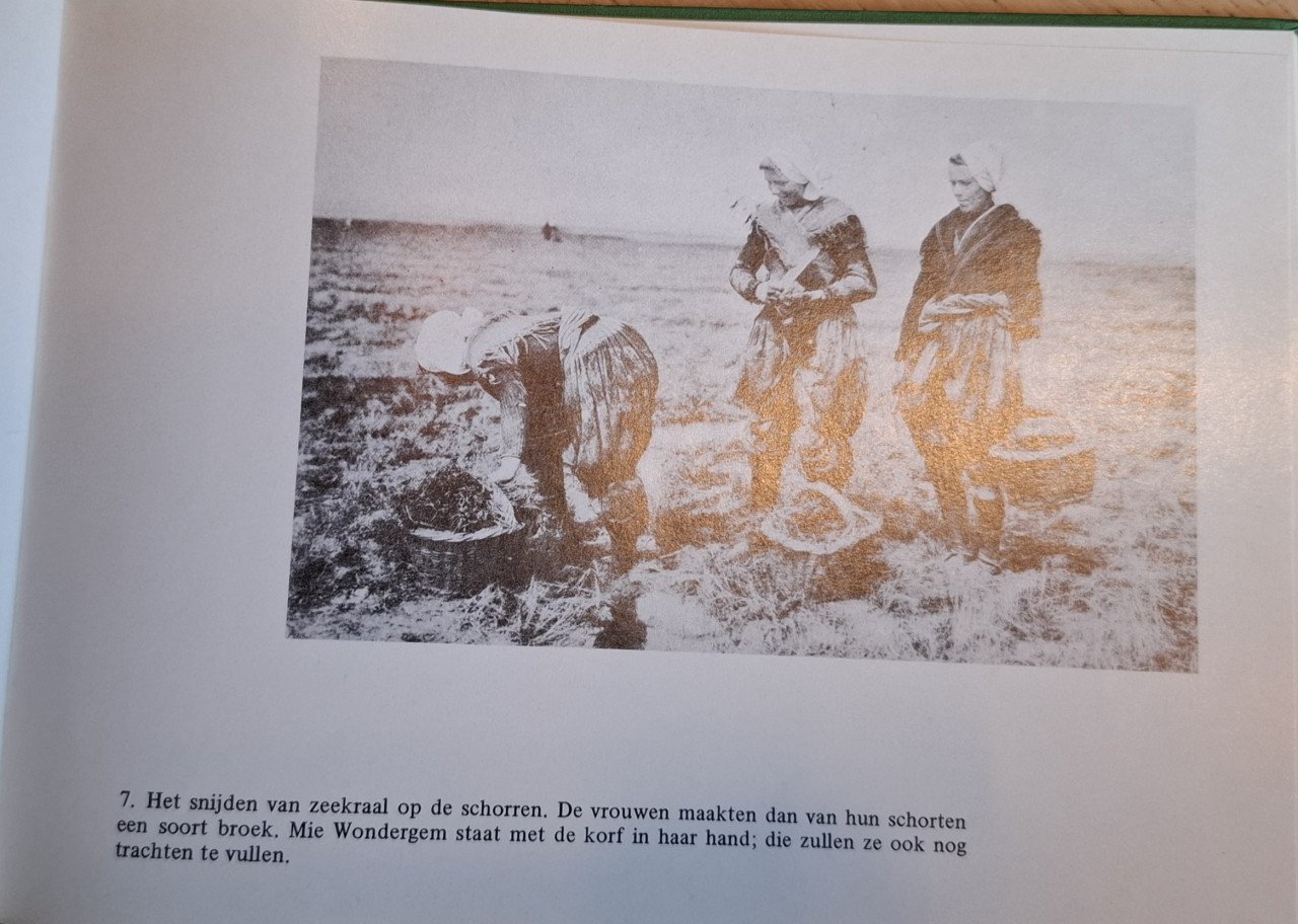 Arnemuiden in oude ansichten – deel 2 door G. de Nooijer