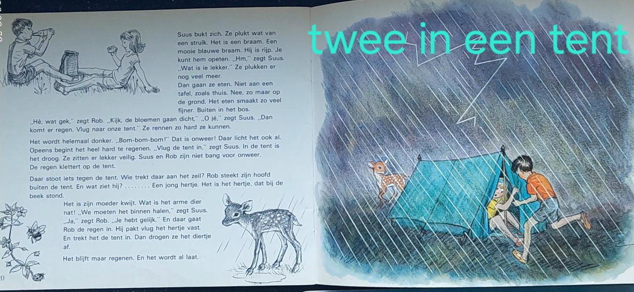 Molly Brett Kinderboekjes - 4 stuks