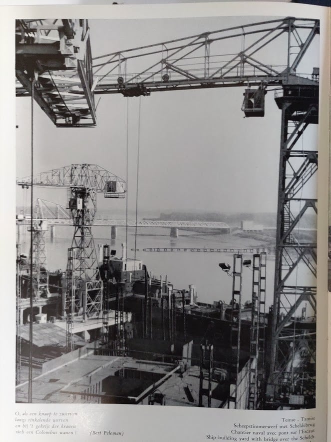 Eeuwige Schelde