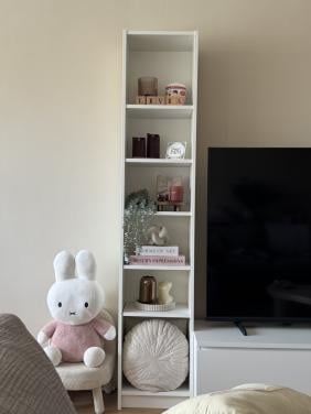 Billy ikea kast wit
