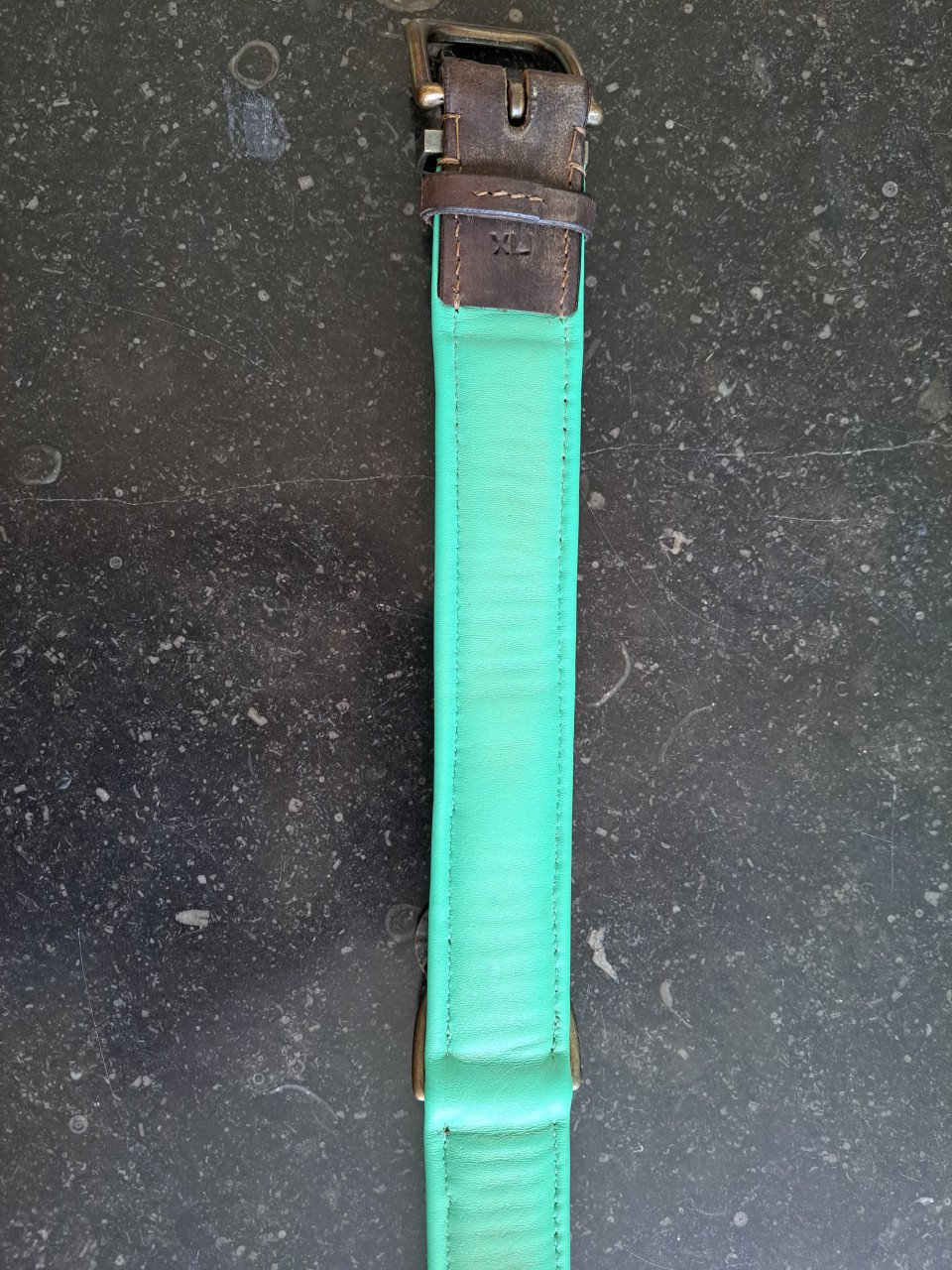Grote halsband hond Dog wth a mission