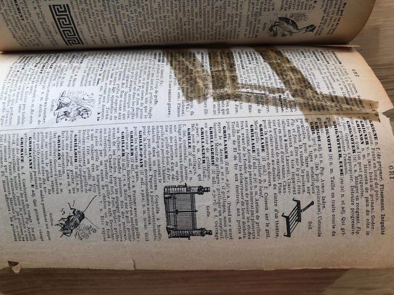 Nouveau Petit Larousse Illustré