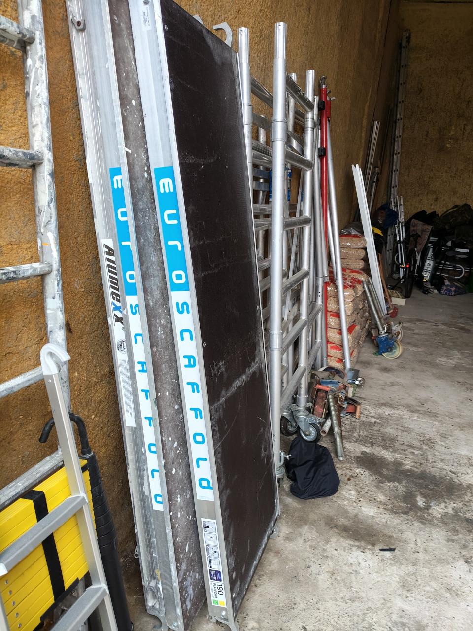 Rolsteiger met of zondeer aan hangwangen