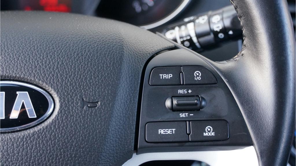 Kia Picanto 1.0 cvvt dynamicline rijklaar incl garantie