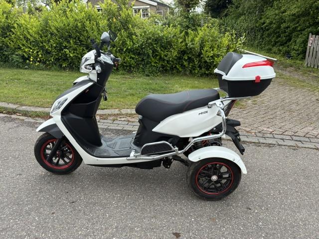 GEEN RIJBEWIJS ? NIET NODIG MET DEZE STOERE NIPPONIA PRIDE !