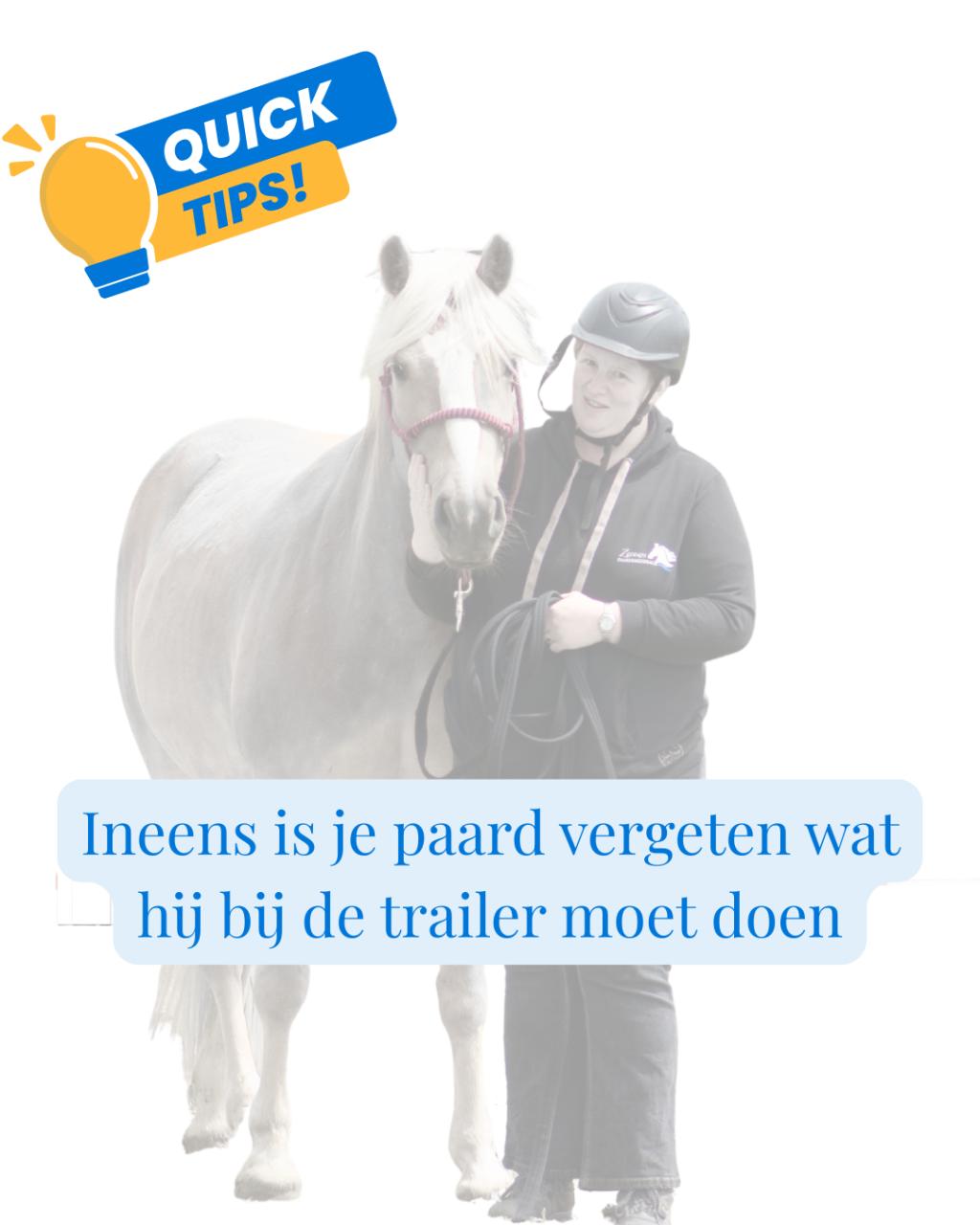 Wie heeft er hulp nodig, jij of je paard?!
