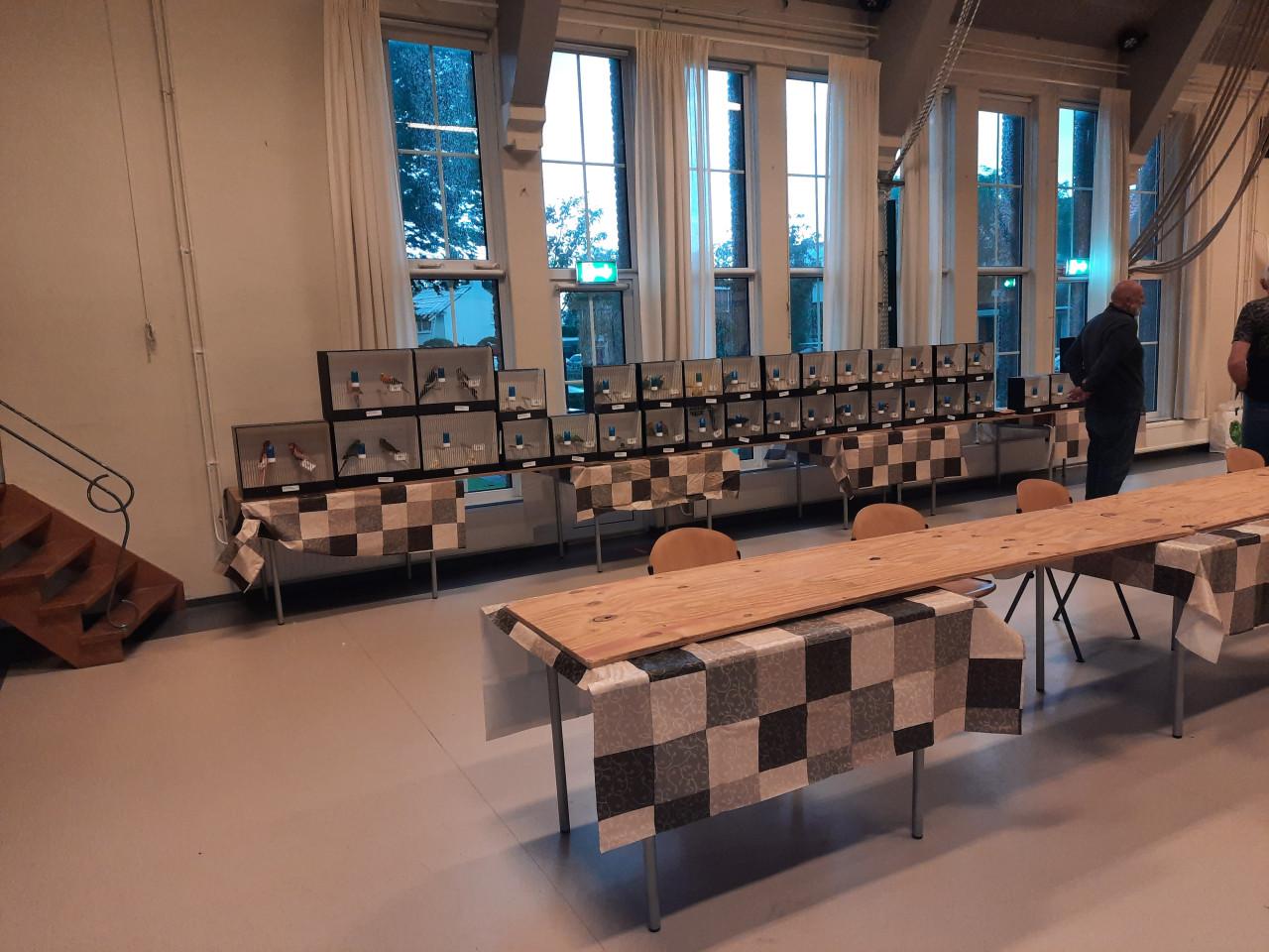 Zaterdag 11 april vogelbeurs in 's Heer Hendrikskinderen