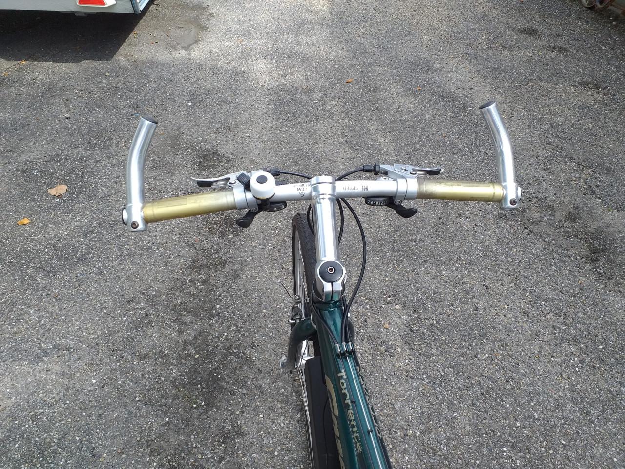 """GAZELLE IMPULS"" Y "" FRAME SPECIAAL GAZELLE DESIGN""""