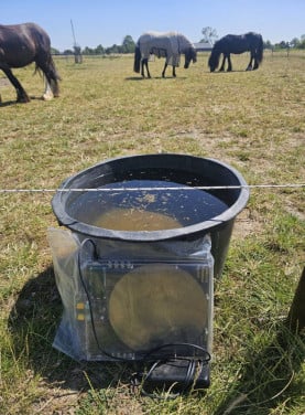 Paard last van eczeem? Ik bied dit aan een bezitter van een paard aan...