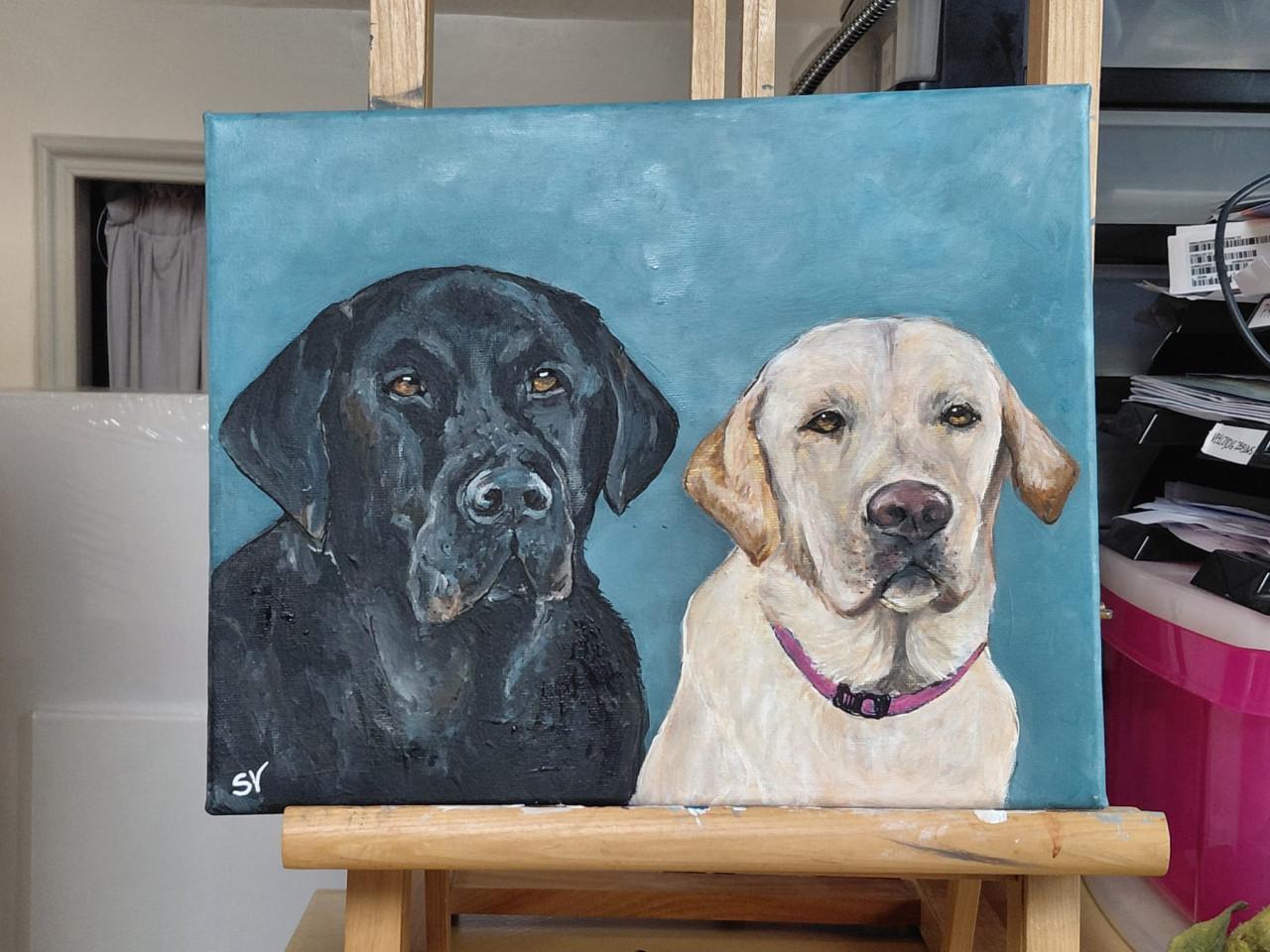 Portret van je favoriete huisdier - KENNISMAKINGSTARIEF FEBRUARI!!