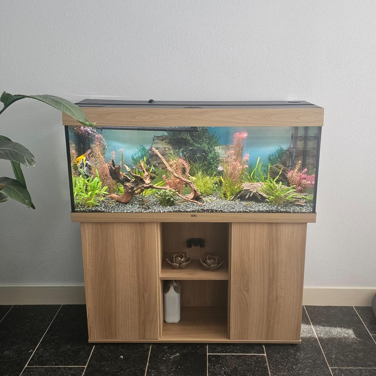 Compleet Juwel Rio 240 Aquarium