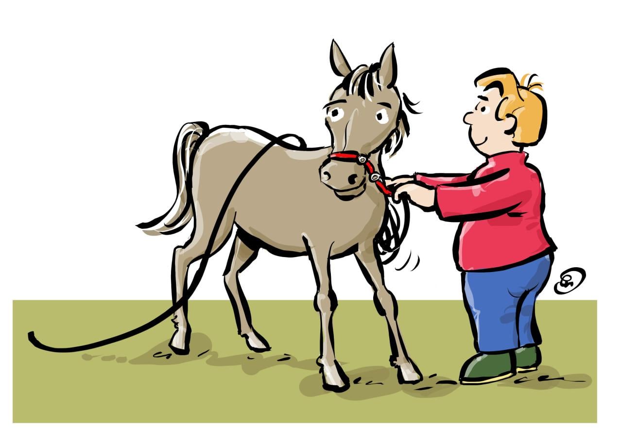 Illustratie of cartoon gezocht?