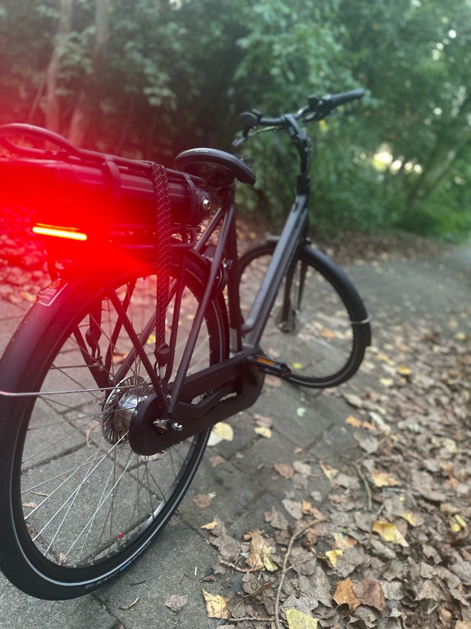 Batavus Fonk E-bike