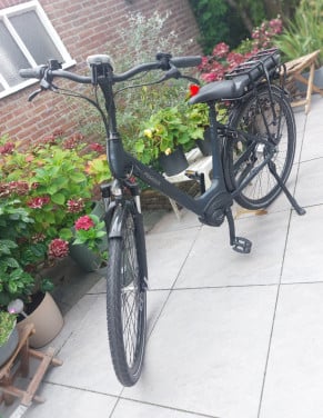 Electrische fiets Pegasus Siena