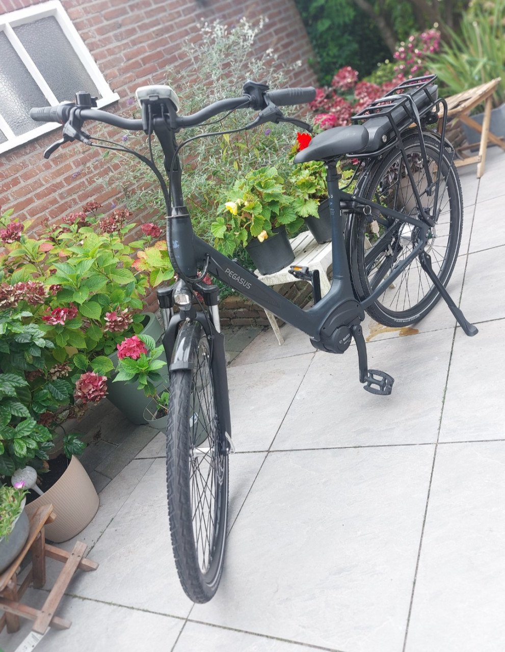 Electrische fiets Pegasus Siena