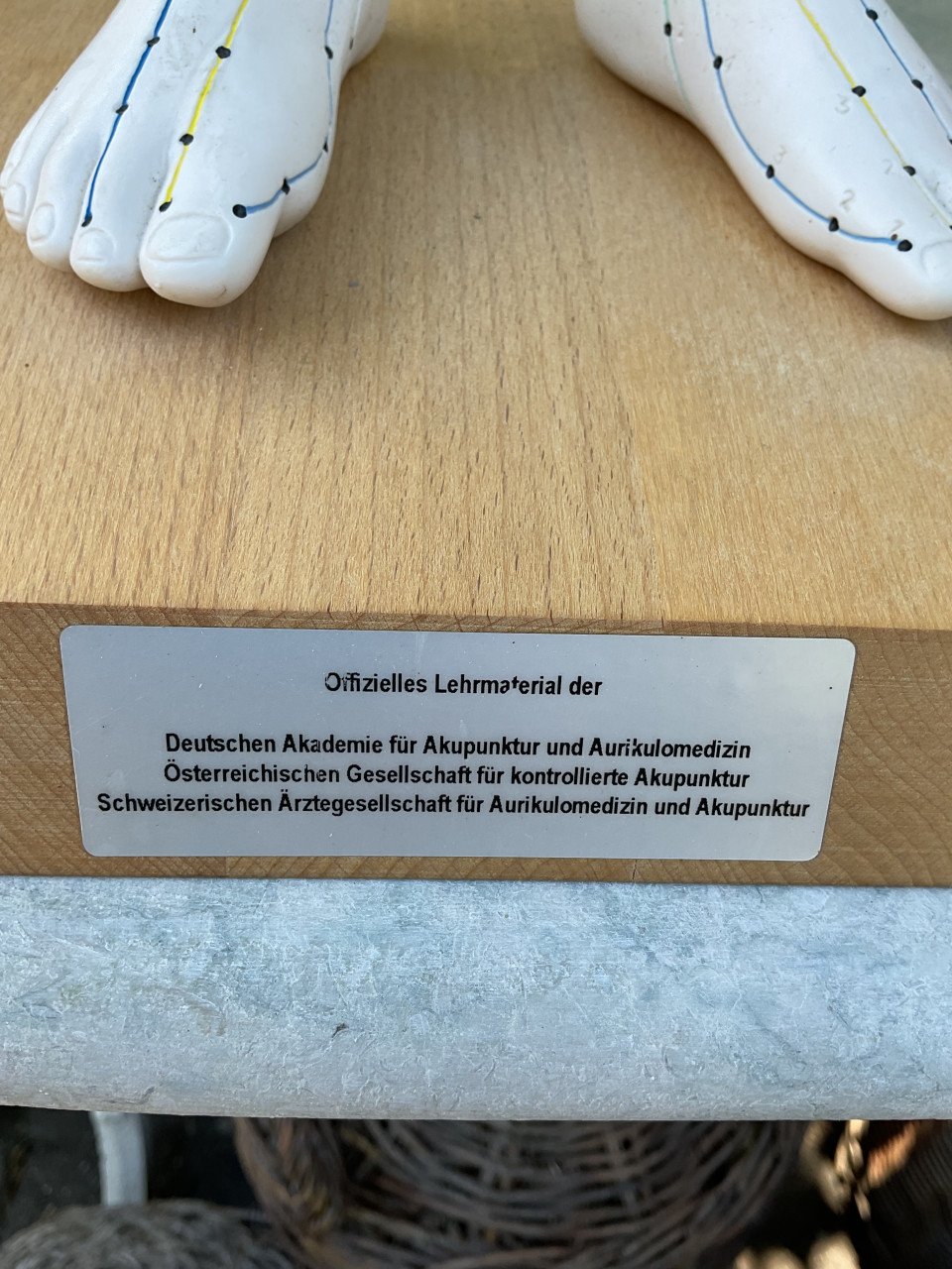 Acupunctuur beeld ( Academie Duitsland )