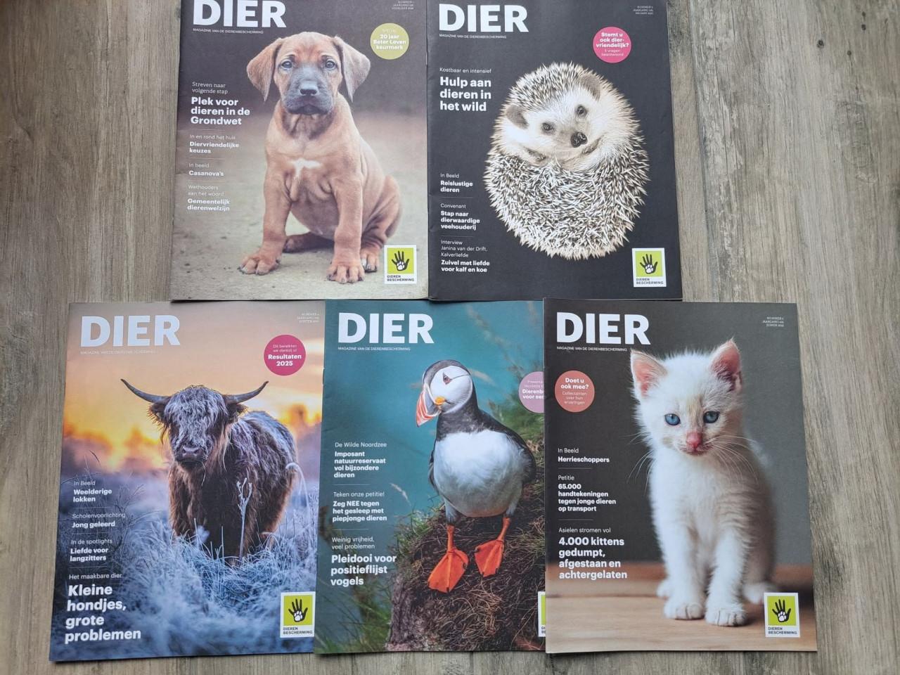 5x Dier